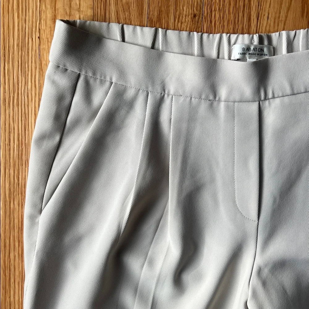 Babaton Aritzia Cohen Pleated Pants - Picture 4 of 5